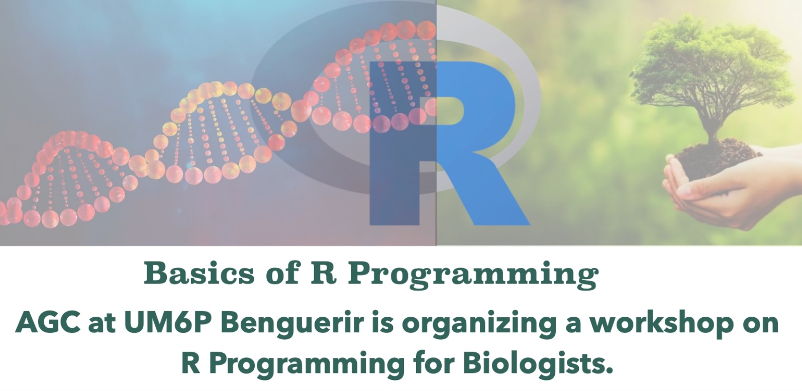 African Genome Center